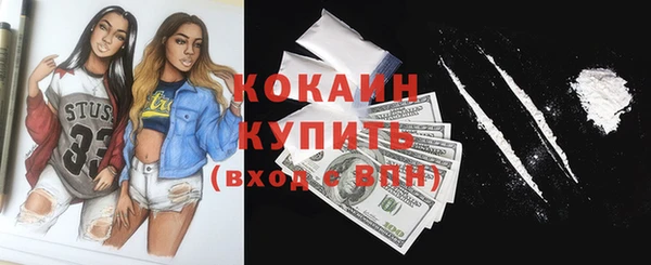 Альфа ПВП Богородск
