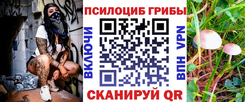 Галлюциногенные грибы прущие грибы  Купить закладки  Елизово 